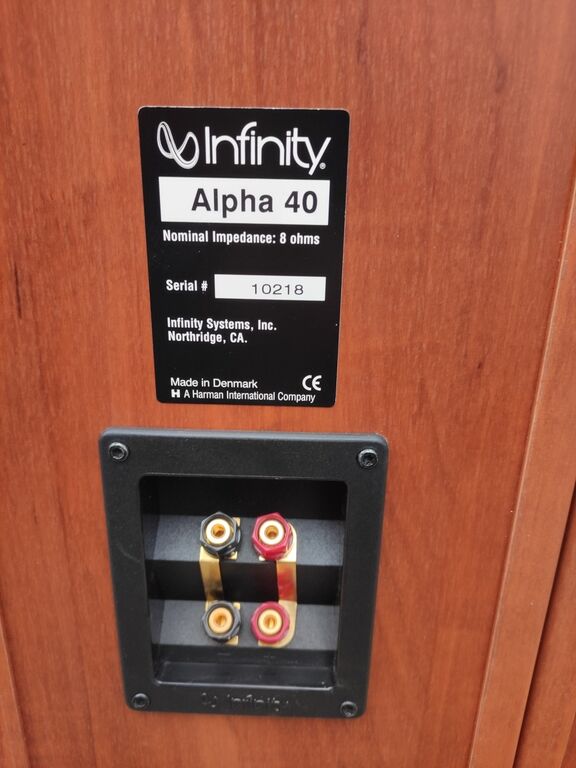 Infinity Alpha 40 põrandakõlarid