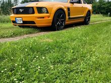 Ford Mustang 2008