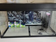 Juwel Primo 110 LED 2.0 must