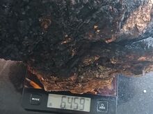 Mustpässik/kasekäsn/chaga