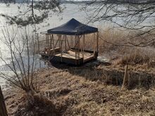 Паром, плот, стая, рой