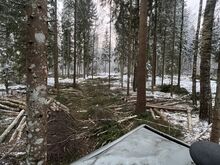 Metsa väljavedu, võsalõikus ja kaevetööd