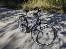 Uueväärne Linnaratas Bottari 28" - raam 50cm