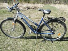 Jalgratas SARDA.26´´