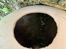 Сосуд