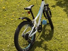 Trek Precaliber 20”