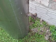 Roostevaba Veeboiler