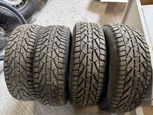205/60 r16 Kormoran naastrehvid