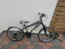Bottecchia lasteratas