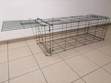 REBASELÕKS (püünis)