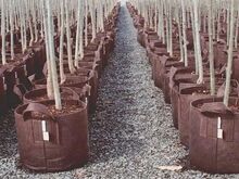 Root Pouch Boxer Brown мешки для выращивания растений