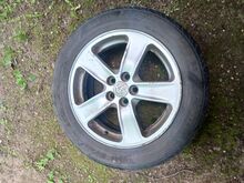 Valuveljed r16