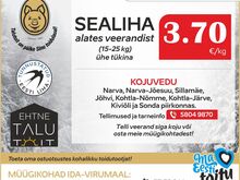 Soodne sealiha IDA-VIRUMAAL