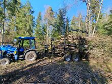 Forstman metsahaagised