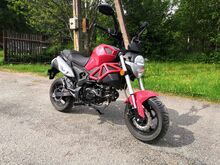Romet MOTORS PONY 50 2kW 2020a.