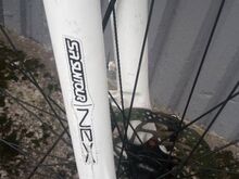 Hübriid Jalgratas DBS Logic 600