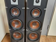 Большие напольные Hi-Fi колонки DALI Lektor 8