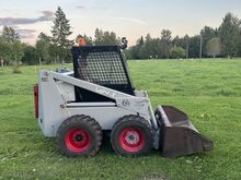 Bobcat