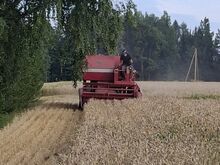 Massey Ferguson 186