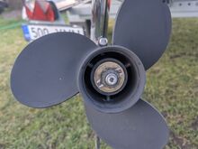 Silver Beaver 450