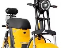WeHawk WX-11 1000W Electric Scooter