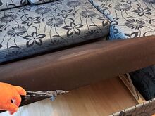 Kiire: müüa DiivanVOODI