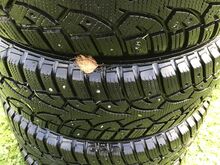 Opel Omega veljed koos rehvidega