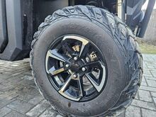 ODES WorkCross UTV 650 EPS V-Twin V2 39кВт 2025