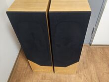 Dali A7 Hi-Fi напольные колонки