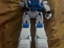 Robot Robert
