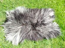 Heidschnucke lambanahad, Premium