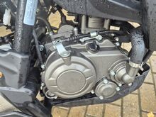 KTM Duke 125 11kw 2024