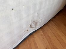 Tasuta 195x90