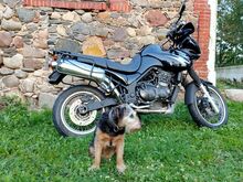 Triumph 900 (885i) / 62600 км / 61 кВт / кофры