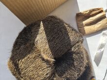 Retro meeste nutria-karusnahast müts – uus/karbis