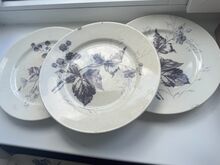 Villeroy & Boch Dresden – serveerimisnõud 12 tk
