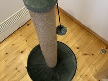 Kraapimispuu kassile