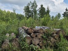 Segapalk/küttepuud