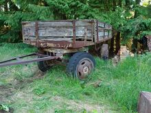 Haagis