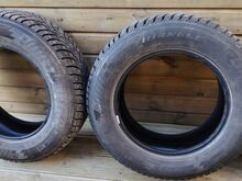 Naelrehvid Triangle 215/65R16