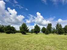 Eksklusiivne krunt Peipsi järve kaldal!