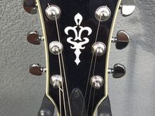 Ibanez AS73 elektrikitarr koos kohvriga