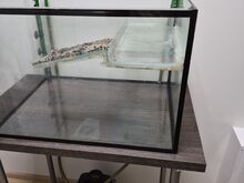 Akvaarium 100l, Eheim filter
