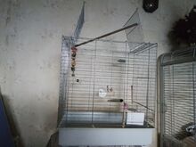 Птичьи клетки