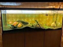 Akvaarium 650L