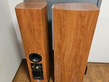 Audio Pro Avanter NINE aktiivne sub
