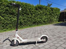 Elektritõuks