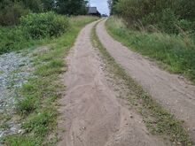 Krunt tiigiga