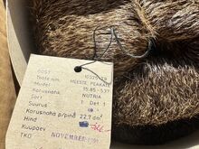 Retro meeste nutria-karusnahast müts – uus/karbis