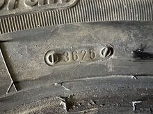 205/60 r16 Kormoran naastrehvid